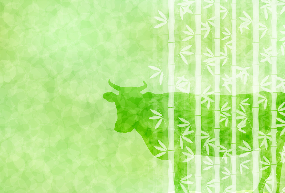 Is Feeding Hemp to Cattle a Good Idea? A HealthBased Perspective